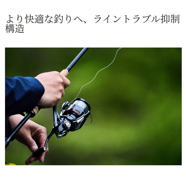 24ヴァンフォード